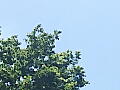 ガーデンの空の写真