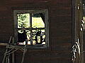 東屋の写真