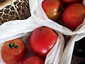 マイムマイムさんの野菜の写真