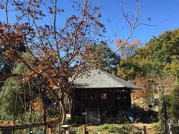 秋の東屋の写真