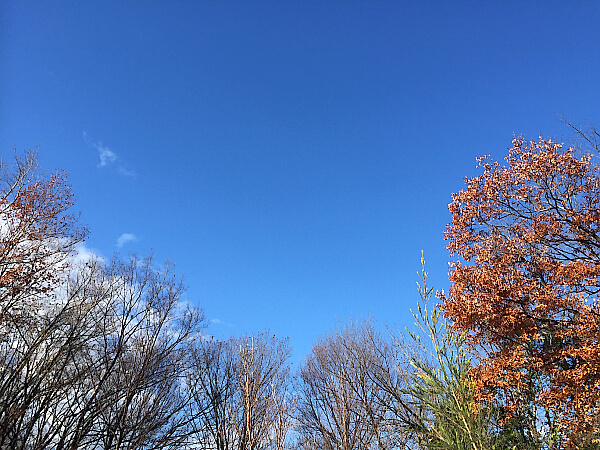 冬の空の写真