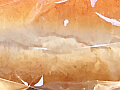 食パンの写真
