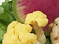 メイン料理の写真