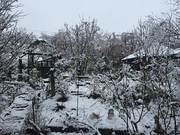 雪景色の写真１