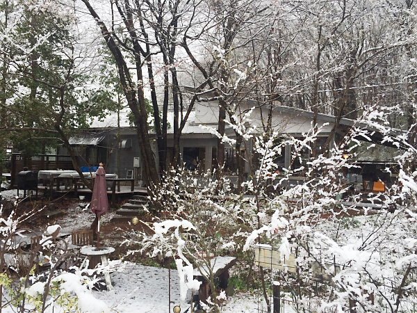 雪景色の写真２